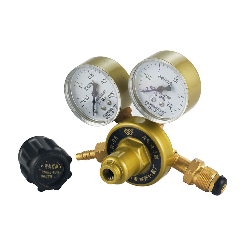 LR-06 General-Purpose LPG Regulator